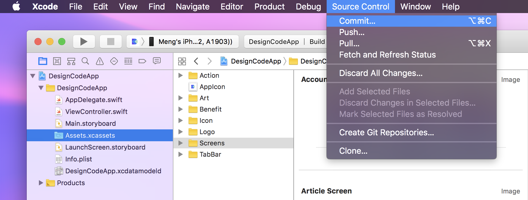 Xcode Source Control