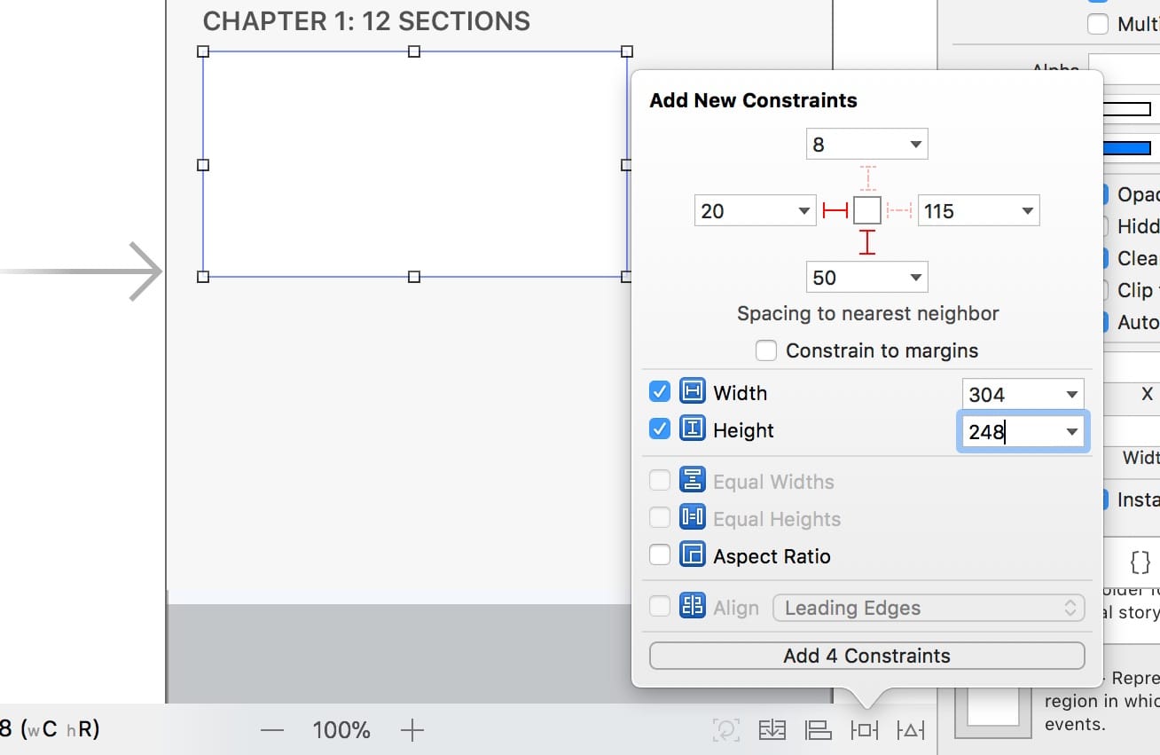 Chapter Section View